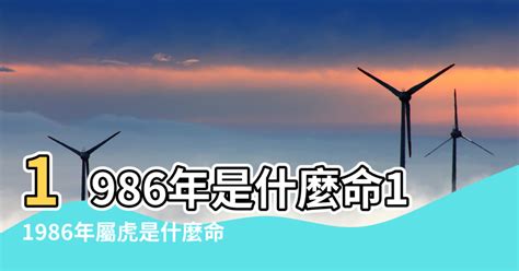 1986年是什么虎|1986年屬虎是什麼命？最全虎命命相批註！